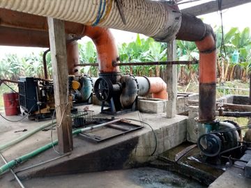Venta de Finca Bananera, sector San Juan, cerca a Babahoyo, provincia de los Ríos.