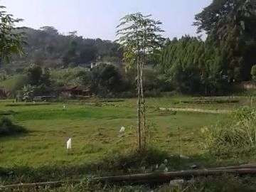 Dijual Tanah Pinggir Jalan Raya Sumedang Ja Bar SHM Lt1300m&sup2; 1 Juta/m&sup2;