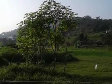 Dijual Tanah Pinggir Jalan Raya Sumedang Ja Bar SHM Lt1300m&sup2; 1 Juta/m&sup2;