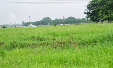 5 Hectare Agricultural Land in San IIdefonso, Bulacan