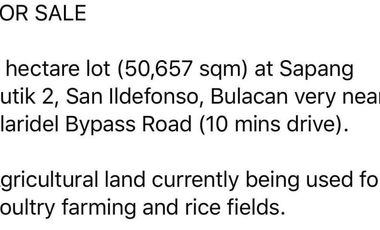 5 Hectare Agricultural Land in San IIdefonso, Bulacan