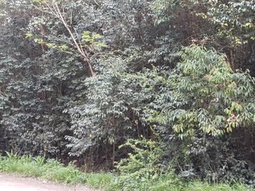 VENDO LOTE 20x50 EN PUNTA DEL INDIO