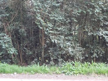VENDO LOTE 20x50 EN PUNTA DEL INDIO