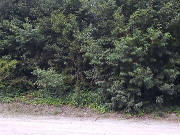 VENDO LOTE 20x50 EN PUNTA DEL INDIO