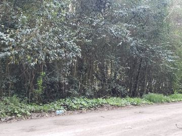 VENDO LOTE 20x50 EN PUNTA DEL INDIO