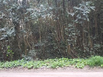 VENDO LOTE 20x50 EN PUNTA DEL INDIO