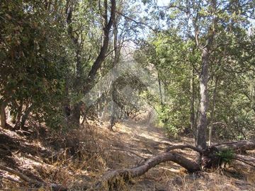 Parcela en Venta en La Aurora