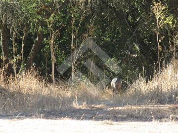 Parcela en Venta en La Aurora