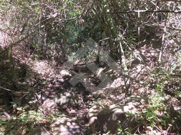 Parcela en Venta en La Aurora