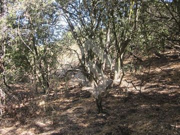 Parcela en Venta en La Aurora