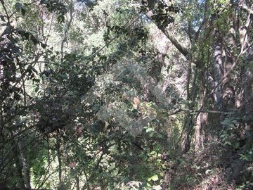 Parcela en Venta en La Aurora
