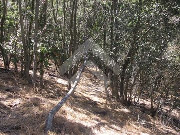 Parcela en Venta en La Aurora