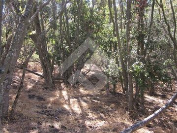 Parcela en Venta en La Aurora
