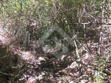 Parcela en Venta en La Aurora