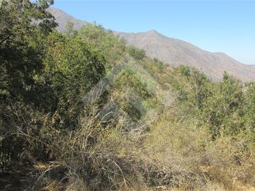 Parcela en Venta en La Aurora