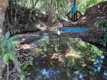 Se Vende Finca Ganadera Pesé Herrera $129.000.00 21.4 Ha.
