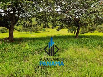 Se Vende Finca Ganadera Pesé Herrera $129.000.00 21.4 Ha.