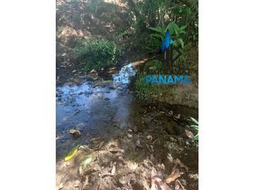 Se Vende Finca Ganadera Pesé Herrera $129.000.00 21.4 Ha.