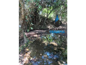 Se Vende Finca Ganadera Pesé Herrera $129.000.00 21.4 Ha.