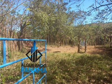 Se Vende Finca Ganadera Pesé Herrera $129.000.00 21.4 Ha.