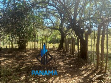 Se Vende Finca Ganadera Pesé Herrera $129.000.00 21.4 Ha.