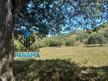 Se Vende Finca Ganadera Pesé Herrera $129.000.00 21.4 Ha.