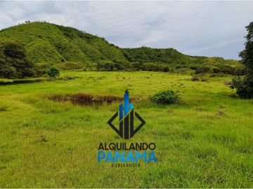 Se Vende Finca Ganadera Pesé Herrera $129.000.00 21.4 Ha.