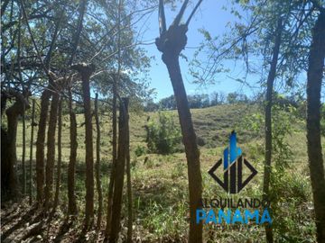 Se Vende Finca Ganadera Pesé Herrera $129.000.00 21.4 Ha.