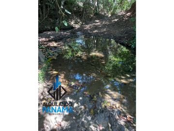 Se Vende Finca Ganadera Pesé Herrera $129.000.00 21.4 Ha.
