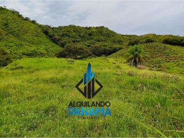 Se Vende Finca Ganadera Pesé Herrera $129.000.00 21.4 Ha.