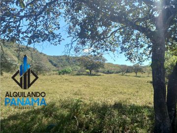 Se Vende Finca Ganadera Pesé Herrera $129.000.00 21.4 Ha.