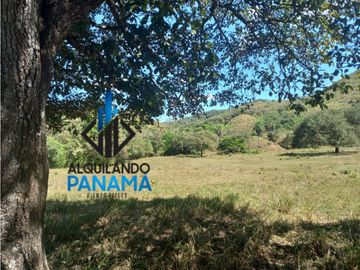 Se Vende Finca Ganadera Pesé Herrera $129.000.00 21.4 Ha.