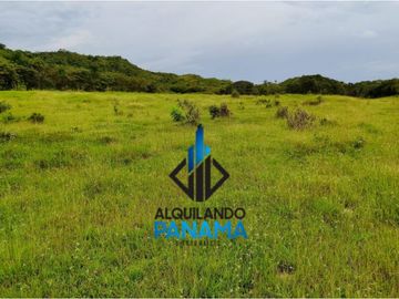Se Vende Finca Ganadera Pesé Herrera $129.000.00 21.4 Ha.
