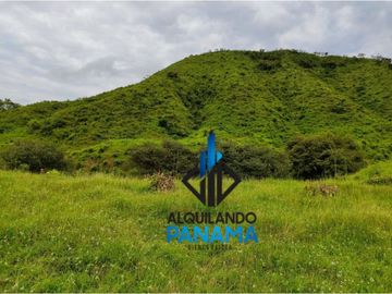 Se Vende Finca Ganadera Pesé Herrera $129.000.00 21.4 Ha.