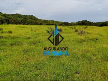 Se Vende Finca Ganadera Pesé Herrera $129.000.00 21.4 Ha.