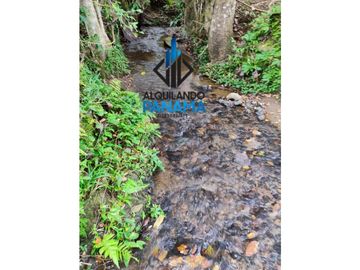 Se Vende Finca Ganadera Pesé Herrera $129.000.00 21.4 Ha.
