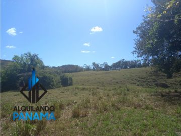 Se Vende Finca Ganadera Pesé Herrera $129.000.00 21.4 Ha.