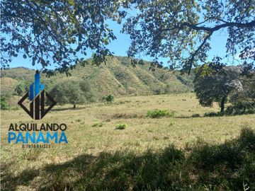 Se Vende Finca Ganadera Pesé Herrera $129.000.00 21.4 Ha.