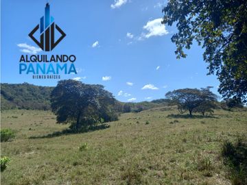 Se Vende Finca Ganadera Pesé Herrera $129.000.00 21.4 Ha.