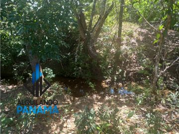 Se Vende Finca Ganadera Pesé Herrera $129.000.00 21.4 Ha.