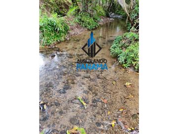 Se Vende Finca Ganadera Pesé Herrera $129.000.00 21.4 Ha.