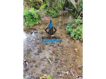 Se Vende Finca Ganadera Pesé Herrera $129.000.00 21.4 Ha.
