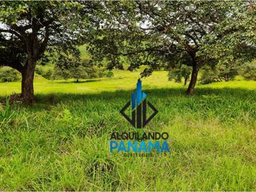 Se Vende Finca Ganadera Pesé Herrera $129.000.00 21.4 Ha.