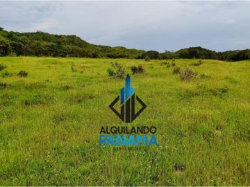 Se Vende Finca Ganadera Pesé Herrera $129.000.00 21.4 Ha.
