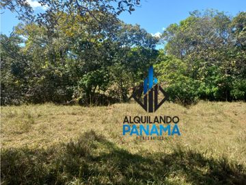 Se Vende Finca Ganadera Pesé Herrera $129.000.00 21.4 Ha.