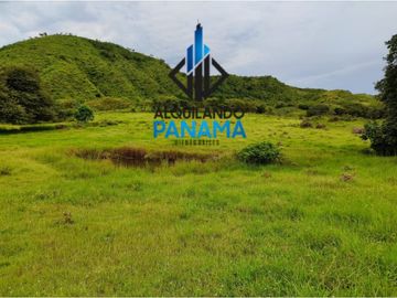 Se Vende Finca Ganadera Pesé Herrera $129.000.00 21.4 Ha.