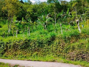 Butuh Uang Tanah Kemuning Ngargoyoso Karanganyar