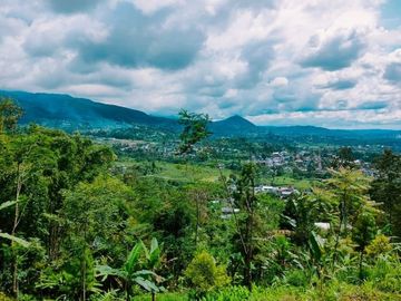 Butuh Uang Tanah Kemuning Ngargoyoso Karanganyar