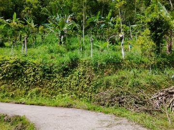 Butuh Uang Tanah Kemuning Ngargoyoso Karanganyar