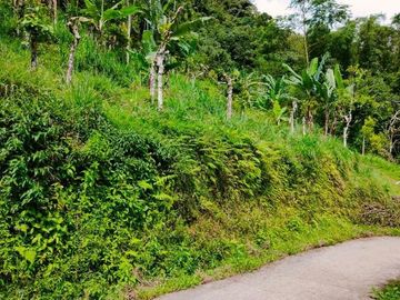 Butuh Uang Tanah Kemuning Ngargoyoso Karanganyar